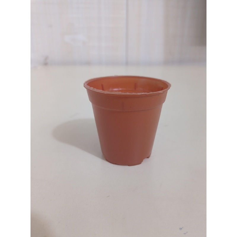 2″ Sunrise Pot Terracotta (5.5 cm)