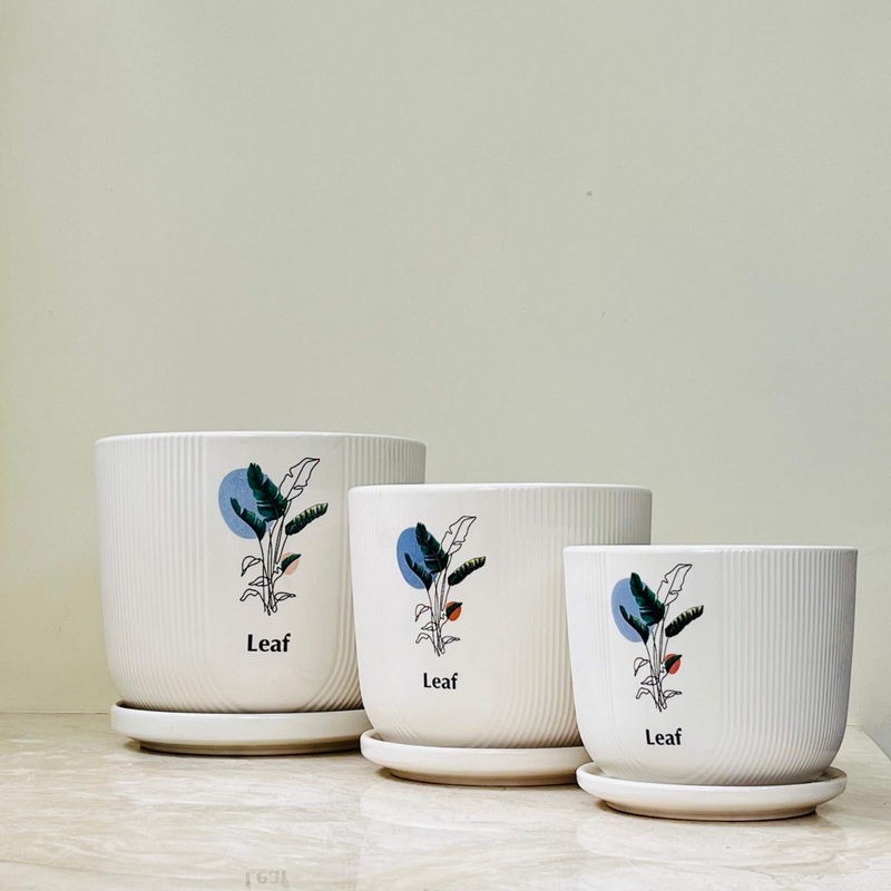 White Ceramic Planters with Leaf Design (Set Of Three)