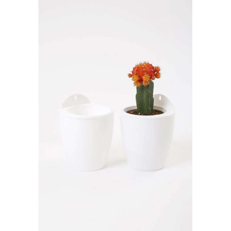 White-White Self Watering Hanging Planter Flower Pot