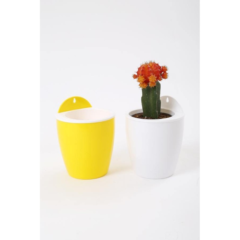 Yellow-White Self Watering Hanging Planter Flower Pot
