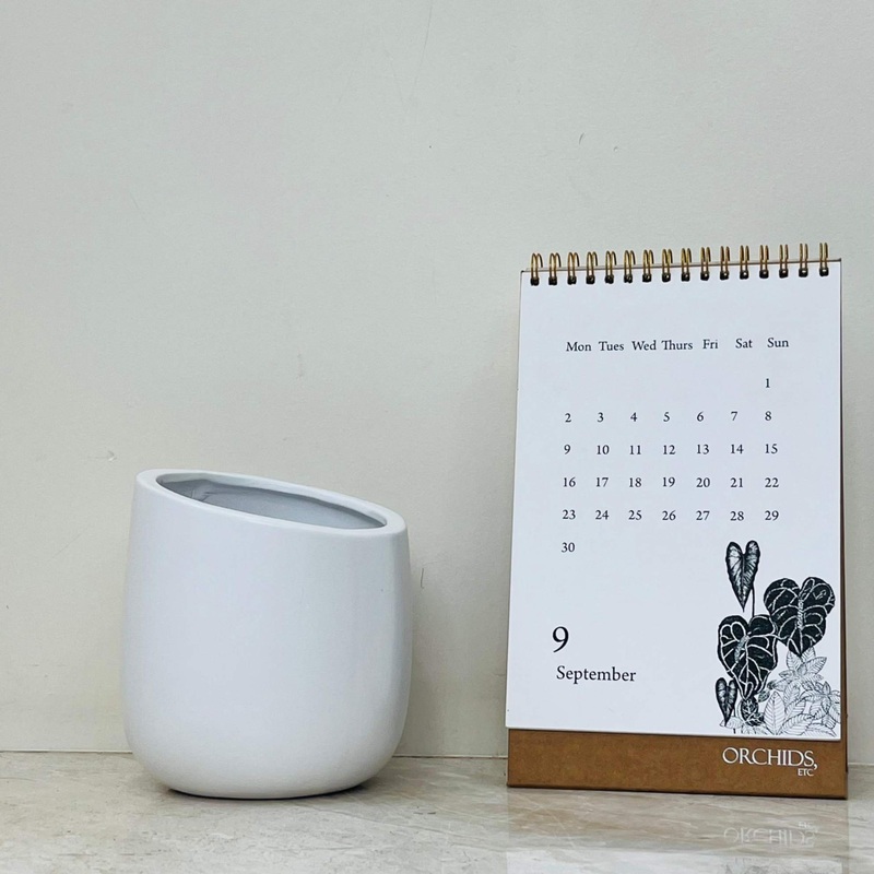 Slant Top Asymmetrical White Ceramic Planter for Indoor Plants