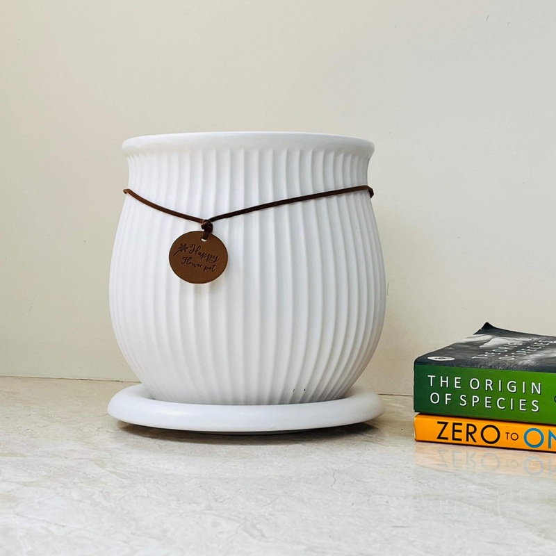 White Ribbed Ceramic Flower Pot with Saucer  Happy Flower Planter