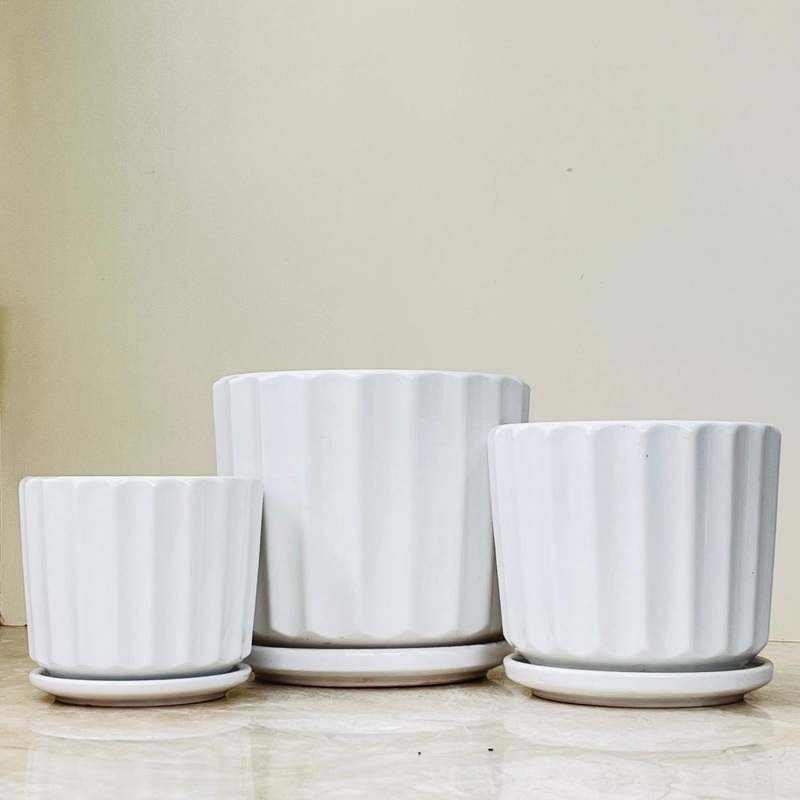 White Sculpted Ceramic Pot Set with Saucers (Set Of 3)