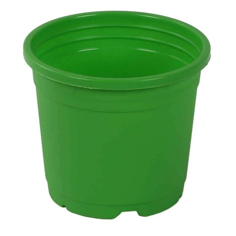 4″ Flower Pot Apple Green Colour Sunrise Series (10 cm)