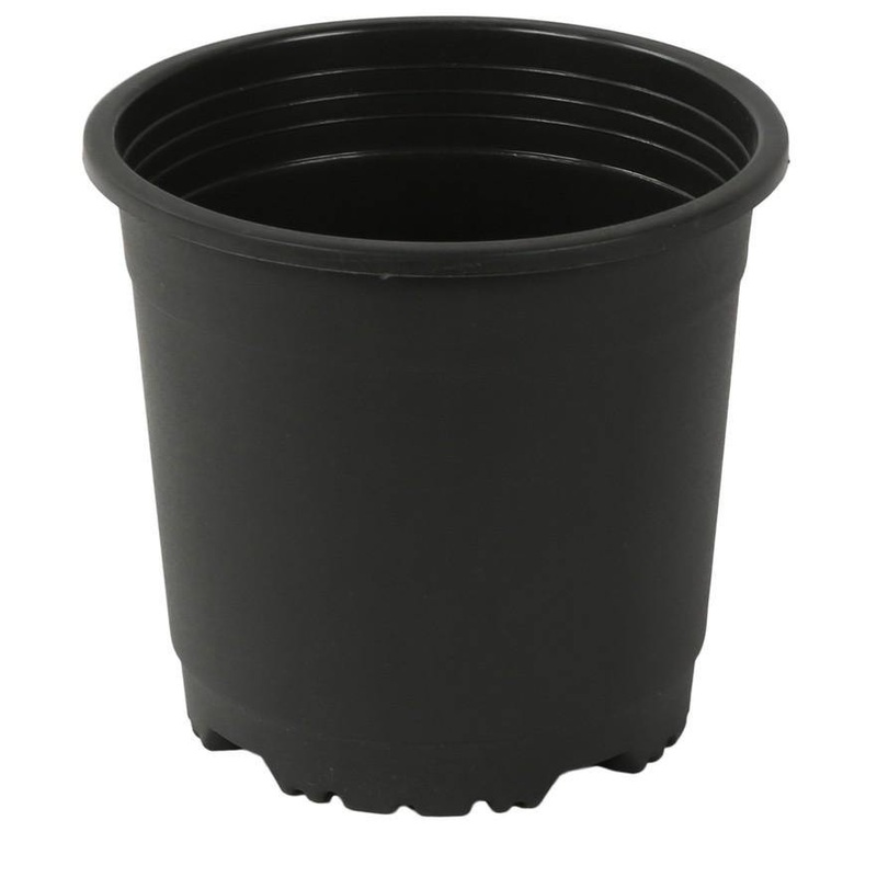 4″ Flower Pot Black Colour Sunrise Series (10 cm)