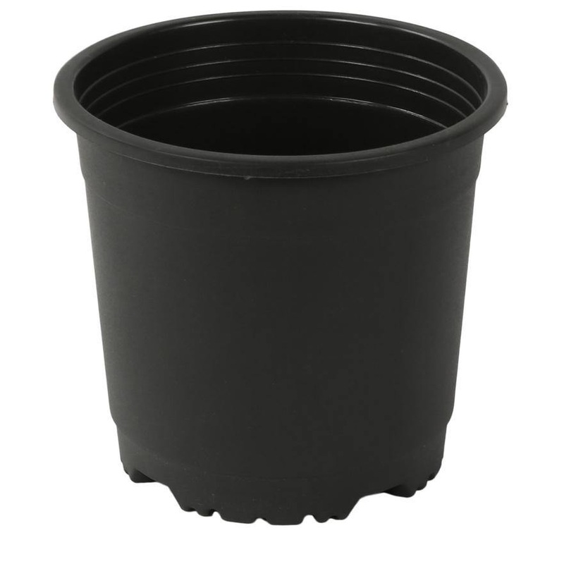 4″ Flower Pot Black Colour Sunrise Series (10 cm) (Pack of 12)
