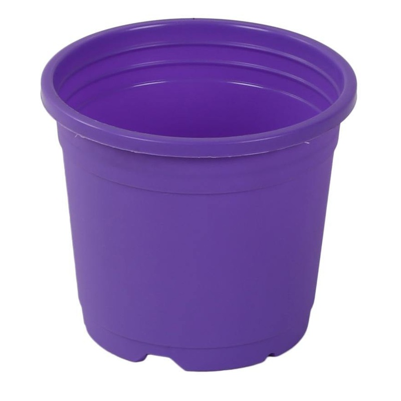 4″ Flower Pot Violet Colour Sunrise Series (10 cm)