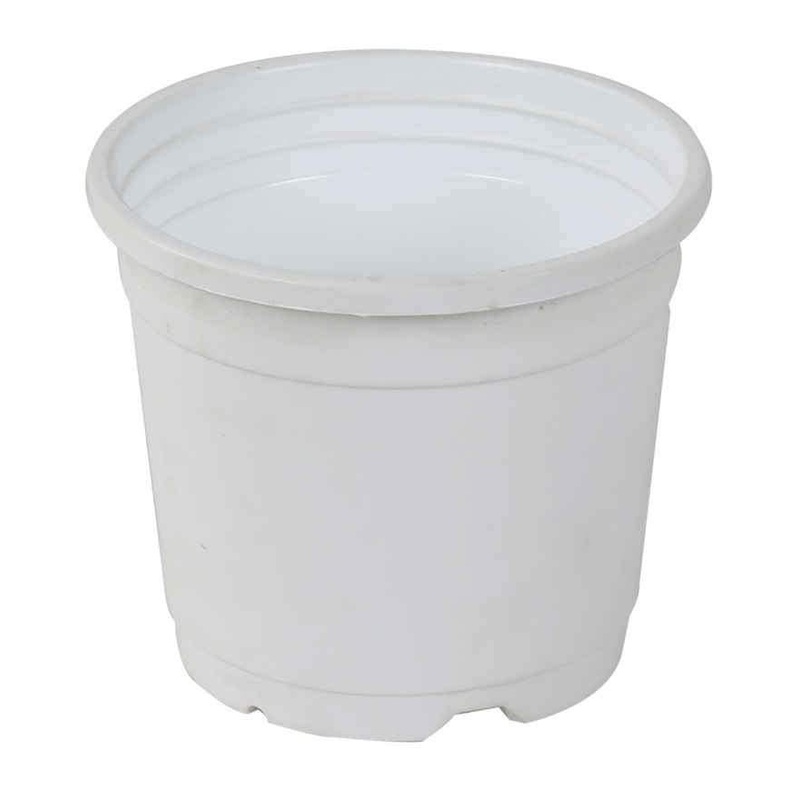 4″ Flower Pot White Colour Sunrise Series (10 cm)