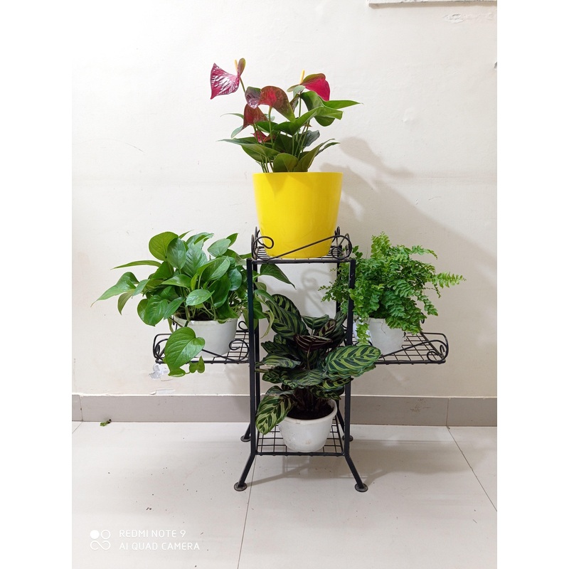 4 Pot Stand Square Black