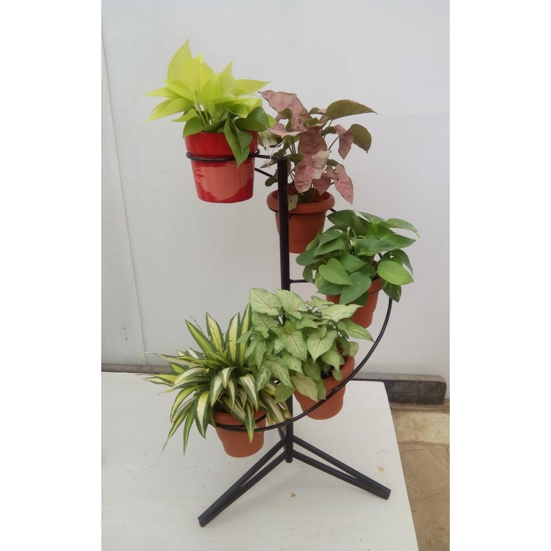 5 Pot Spiral (Ring) Pot Stand Black