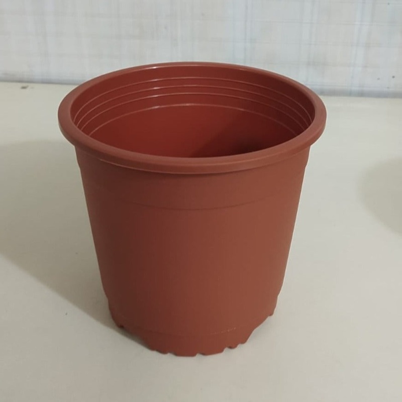 6″ Flower Pot Terracotta Colour Sunrise Series (14.5 cm) ( Pack of 12)