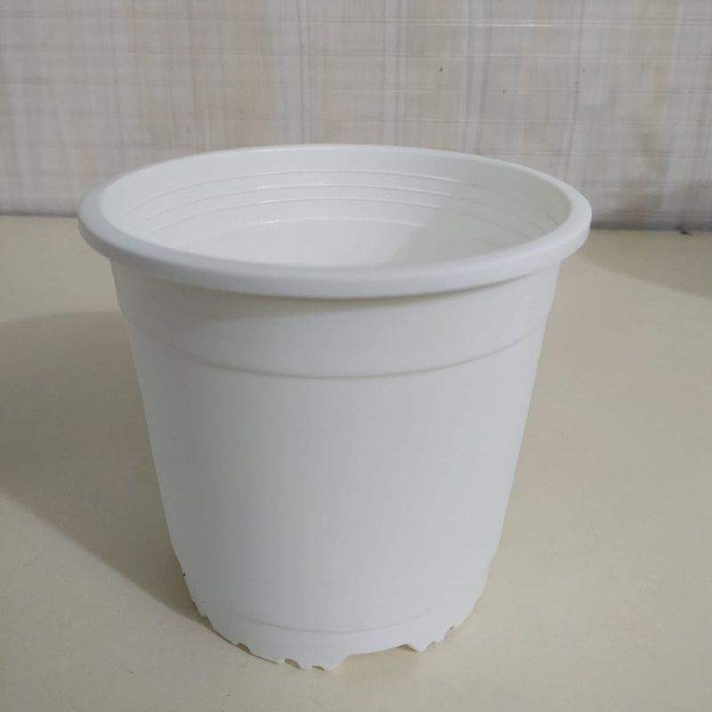 6″ Flower Pot White Colour Sunrise Series (14.5 cm)