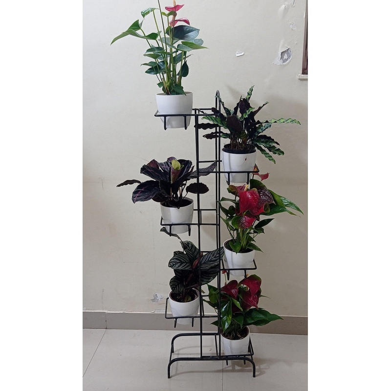 6 Pot Rack Stand (Round) Black