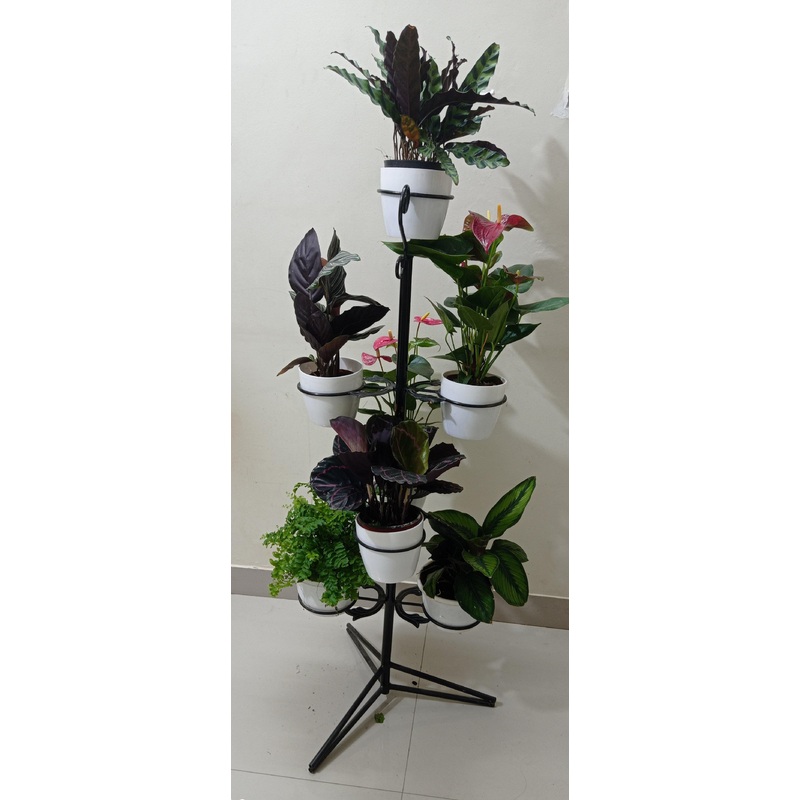7 Pot Stand Ring Black