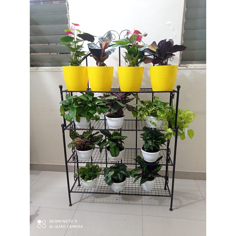 Bakers Rack (Compartment) Black