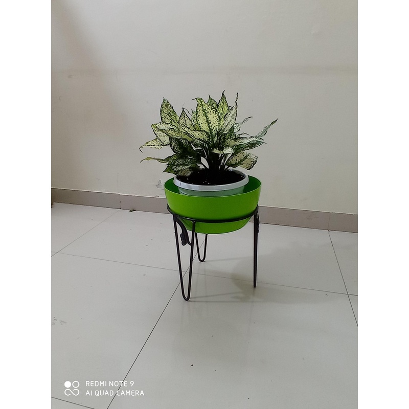Single Pot Stand 10″ Black