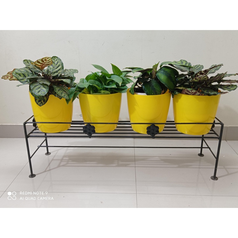 Single Step Stand Black