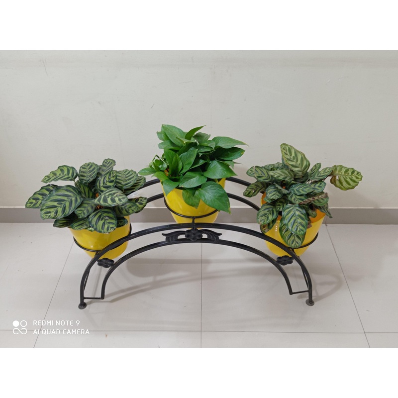 3 Pot Semi Circle Stand