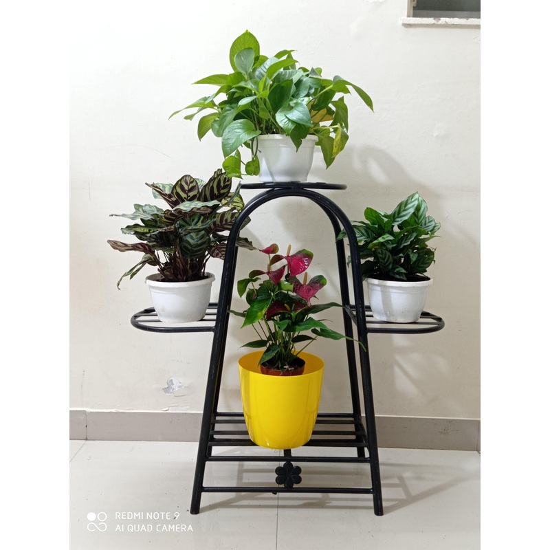 4 Pot Stand