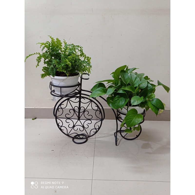 Bicycle Shape Stand