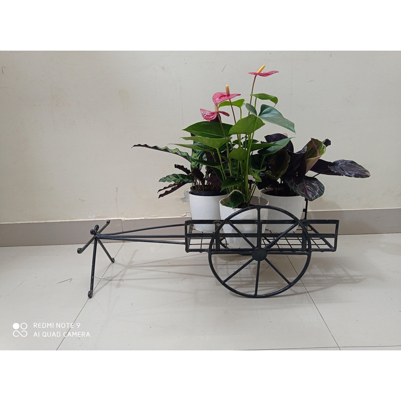 Bullock Cart Stand
