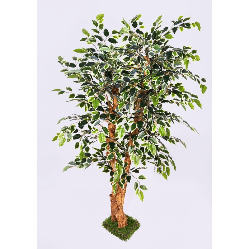 Artificial Mini Ficus Varigated Tree in Coffee Wood – 4 Feet