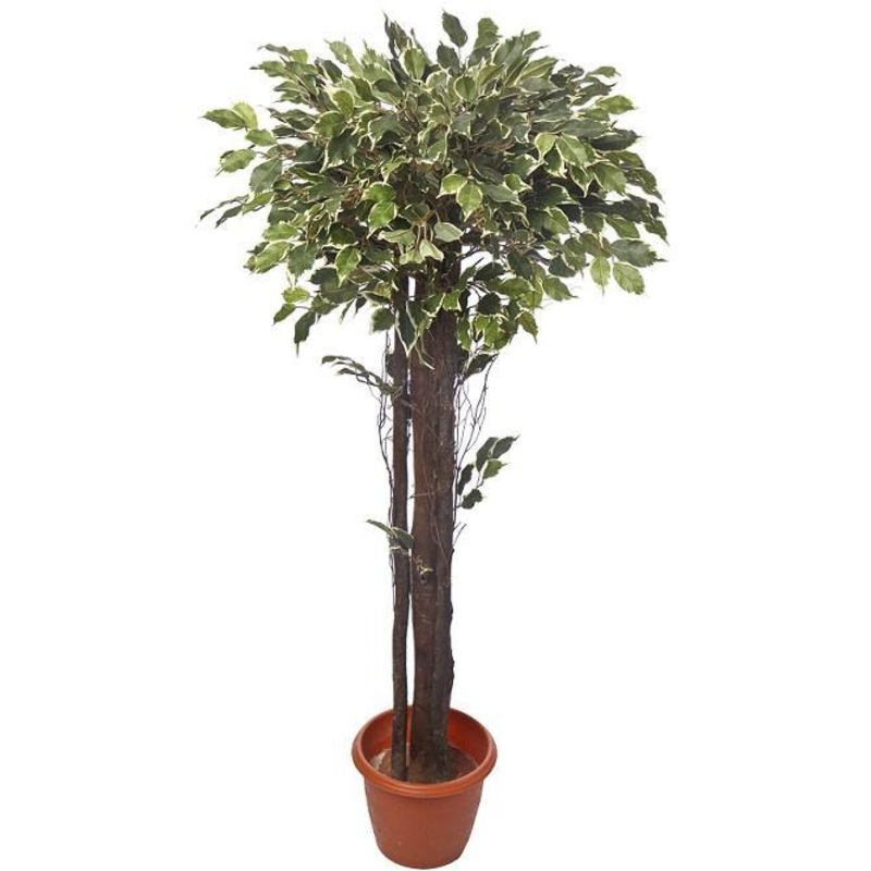 Artificial Mini V.G. Ficus Real Touch Topiary Plant – 4 Feet
