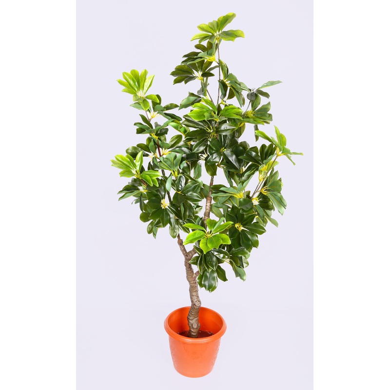 Artificial Schefflera Plant – 4 Feet