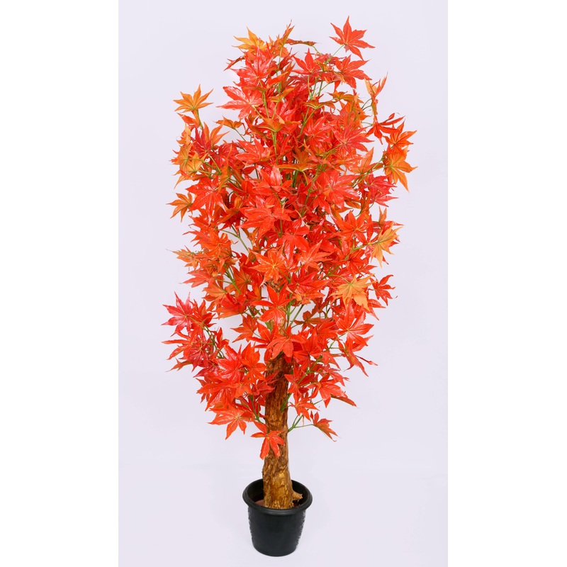 Artificial Star Maple in Coffee Wood Plant – 4 Feet