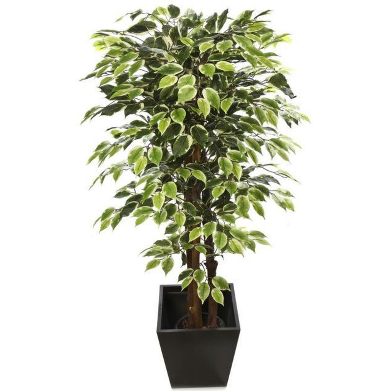 Artificial Varigated Ficus Plant – 4 Feet