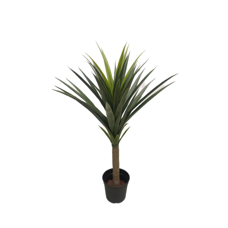 Artificial Yucca Plant -2.5 Feet
