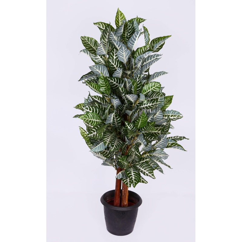 Artificial Zebra Plant in Natural Stick -4 Feet