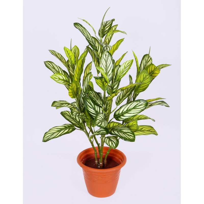 Artificial Aglonema Plant – 2 Feet ( Pack of 2 Plants )