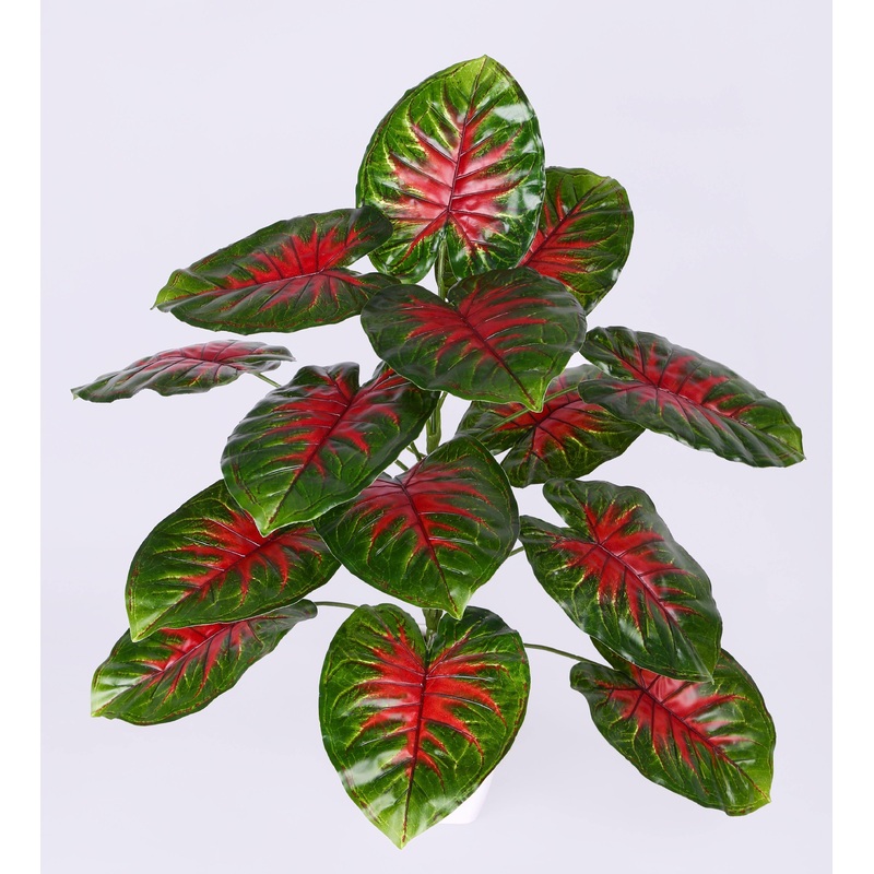 Artificial Caladium Plant Line 15 Leaves – 18″  ( Pack of 3 Plants)