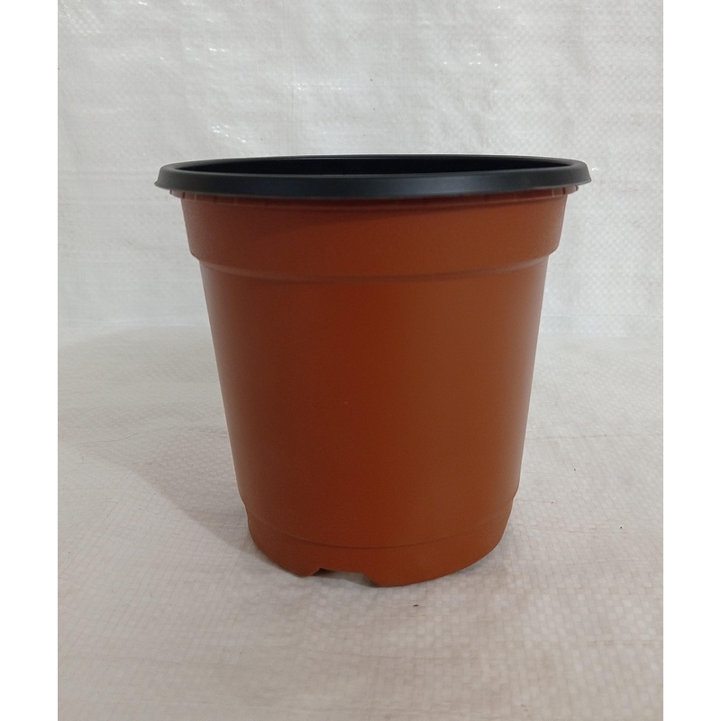 Thermoformed Pots (140 x 126 mm) (Pack of 6, Terracotta Color)