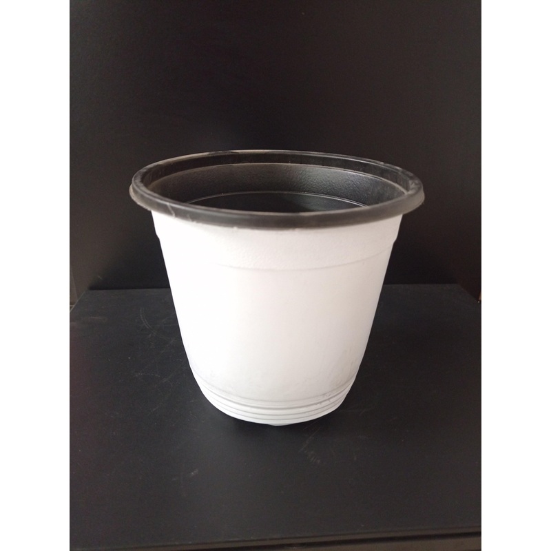 Thermoformed Pots (150 x 138 mm) (Pack of 6, White Color)