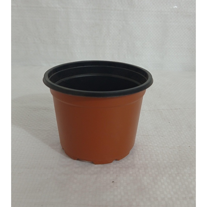Thermoformed Pots (90 x 68 mm) (Pack of 6, Terracotta Color)