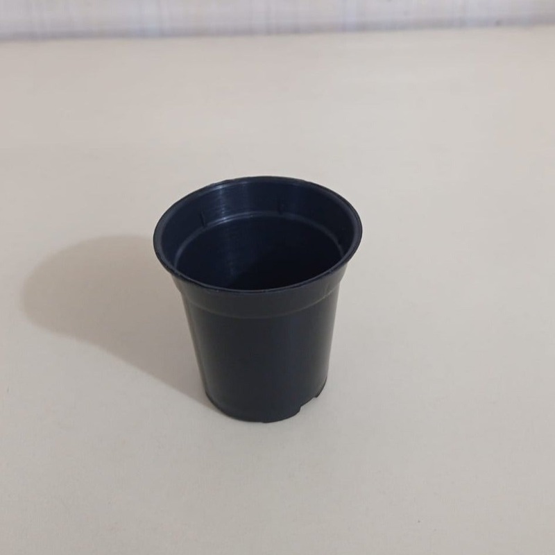 2″ Sunrise Pot Black (5.5 cm)